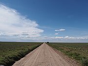 Straße in der Serengeti