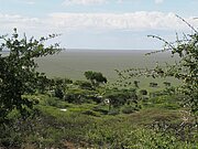 Blick über die Serengeti