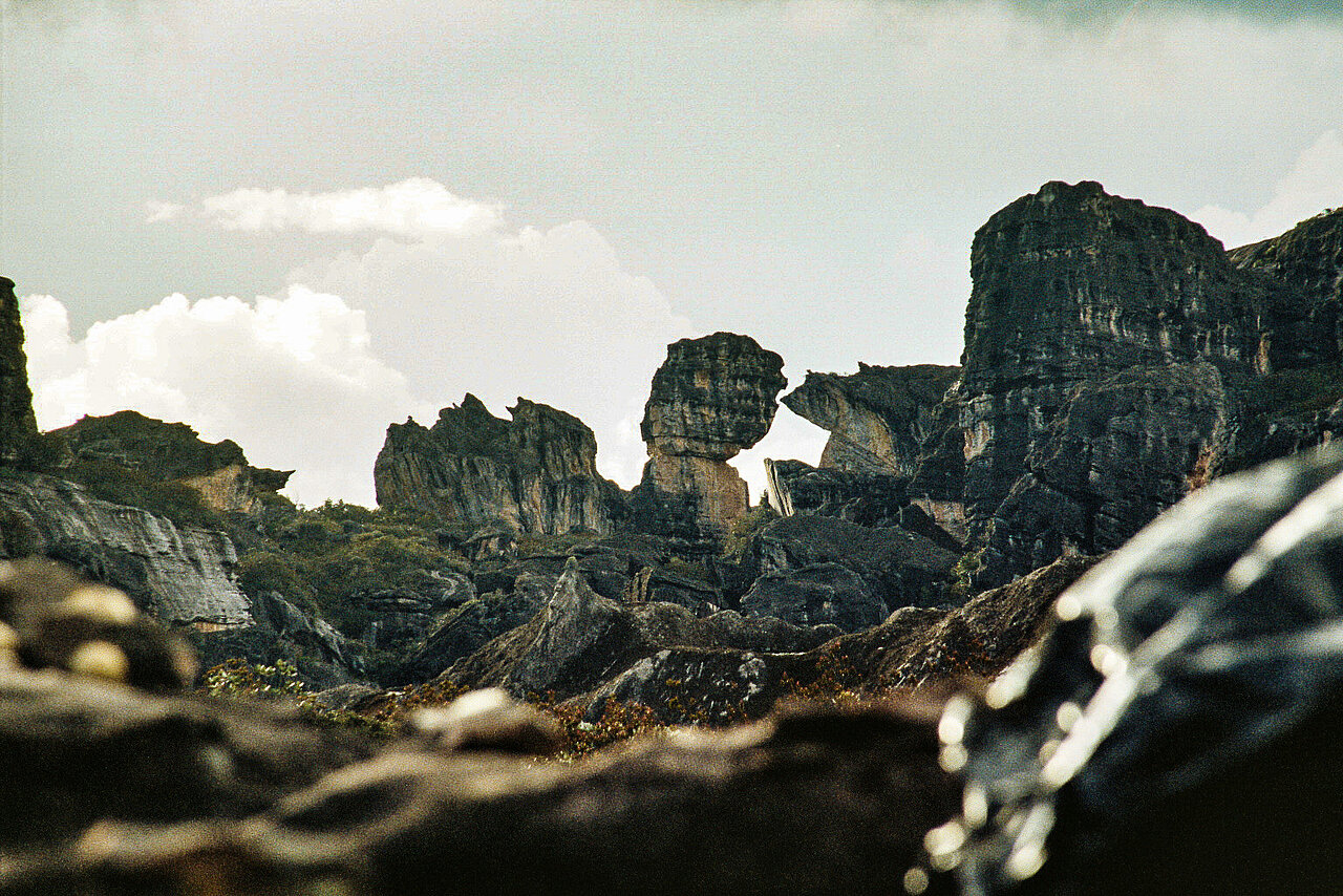 Rock formations at Auyan Tepui