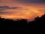 Sonnenuntergang im South Luangwa Nationalpark