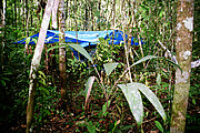 Dschungelcamping im Amazonas