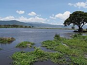 See mit Flusspferden im Ngorongoro-Krater